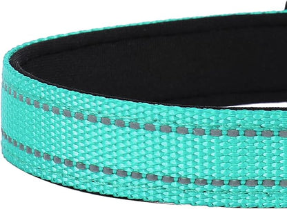 Reflective Dog Collar, Adjustable Soft Neoprene Padded Nylon Pet Collars with Buckle for Medium Dogs, Teal,M