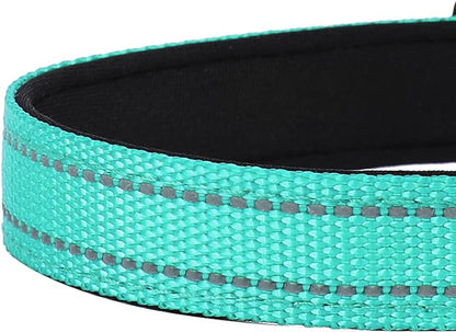 Reflective Dog Collar, Adjustable Soft Neoprene Padded Nylon Pet Collars with Buckle for Extra Large Dogs, Teal,XL