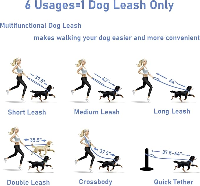 ZALER Dog Collar and Leash Set, Waterproof Adjustable Odor Proof Pet Collars Leashes Easy to Clean, 6FT Dog Leash with 2 Hooks for Large, Medium Small Dogs (S, Blue)
