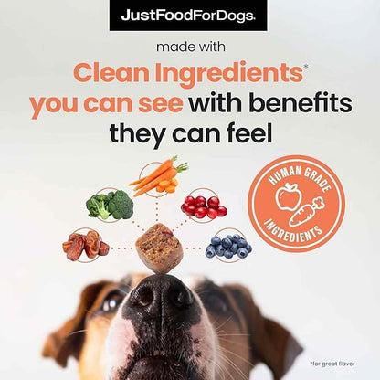JustFoodForDogs 10-in-1 Supplement for Dogs, Human Grade Dog Supplements, Multivitamin Soft Chews, Immune, Skin and Joint Support, Omega 3 Oil, Superfood Blend, Plant Based Dog Vitamins - 45 Count