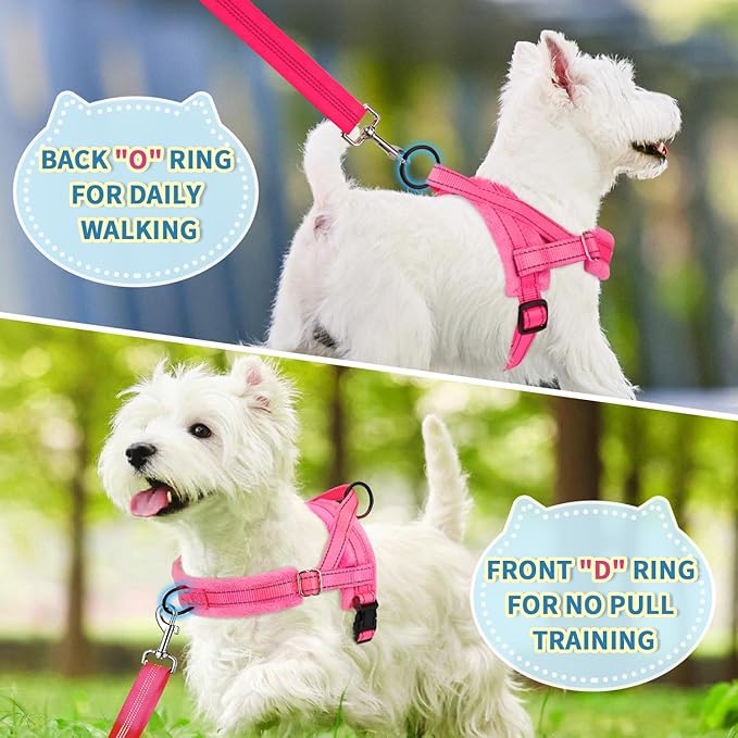 Lukovee No Pull Dog Harness and Leash Set, Soft Padded Small Dog Harness, Neck & Chest Adjustable Reflective Vest Puppy Harness with 4ft Lightweight Anti-Twist Dog Leash for Small Dogs (Pink, Medium)