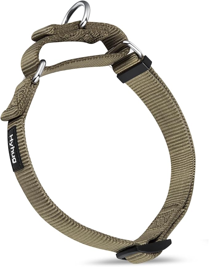 Hyhug Martingale Dog Collar Medium Green |Escape - Proof Heavy Duty Nylon Durable No Slip, Ideal for Training & Daily Walks