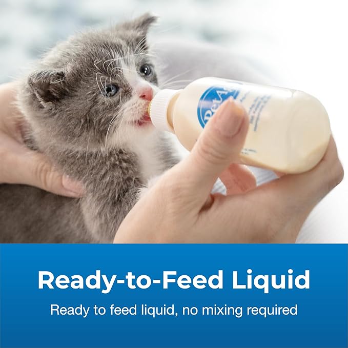 PetAg KMR Kitten Milk Replacer Liquid - 11 oz, Pack of 4 - Ready-to-Feed Kitten Formula with Prebiotics, Probiotics & Vitamins for Kittens Newborn to Six Weeks Old - Easy to Digest