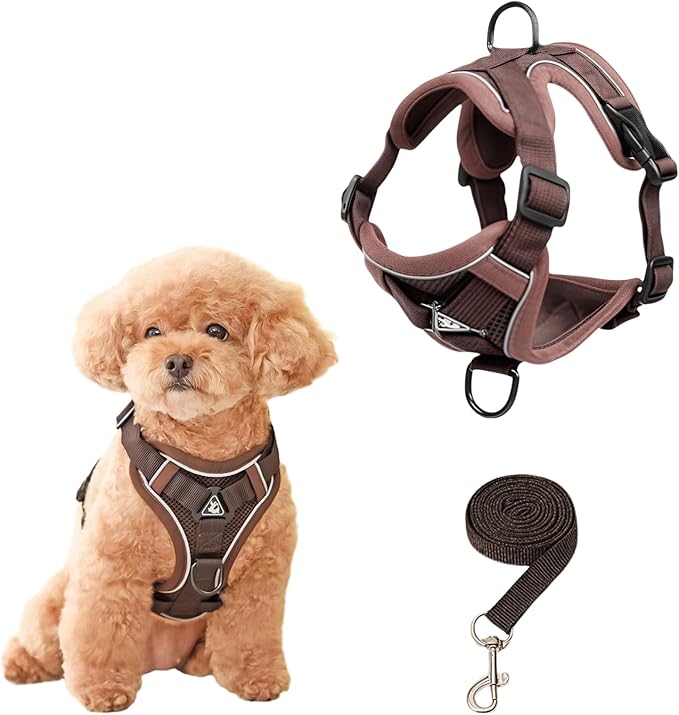 SOLMOONY Small Dog Harness,Soft Mesh Puppy Harness and Leash Set,No Escape Cat Harnesses for Training Walking,Reflective Adjustable Puppy Vest for Small Medium Dogs, Cats (Brown, XL)
