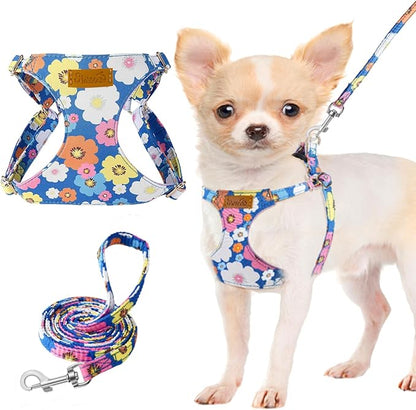 Lukovee Puppy Harness and Leash Set, No Pull Lightweight Soft Suede Adjustable Pet Harness Vest with Snap Buckle for Puppy Small and Medium Size Dog (Blue Flower, XS)