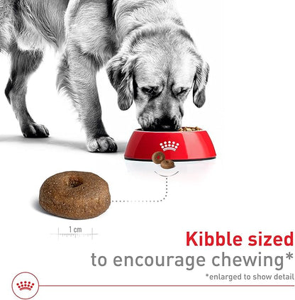 Royal Canin Size Health Nutrition Large Aging 8+ Senior Dry Dog Food, 30 lb Bag