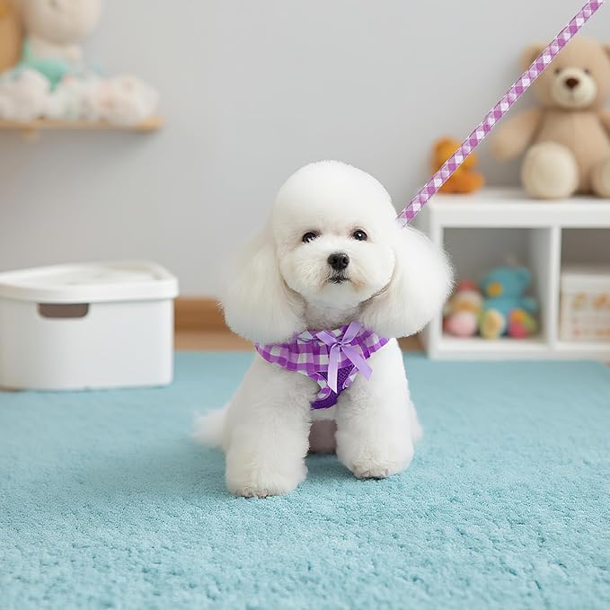 EXPAWLORER Cute Dog Harness Collar Leash Set - Purple Girl Dog Harness Checkered Step-in Design, Detachable Bow Pet Collar, Adjustable No-Choke Lightweight Mesh Vest for Cats Puppy Small Dogs, XS