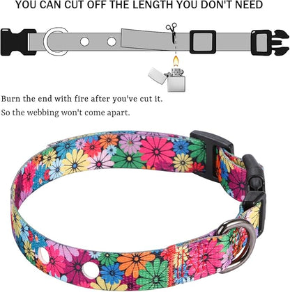 Rhea Rose 1 Inch Replacement Collar Strap Shock Collar with 2 Holes, Compatible with Nearly All Brands and Models of Underground Electric Dog Fences and Training Collars, Floral Pattern