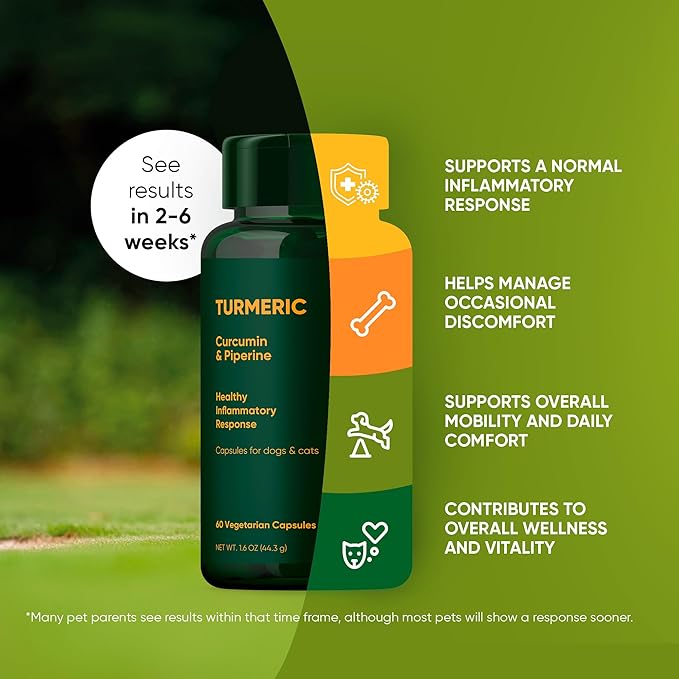 Rooted Owl Turmeric - Turmeric Supplement for Dogs and Cats - with Curcumin, Piperine and Vitamin C for Anti-Inflammatory Relief - 60/ct