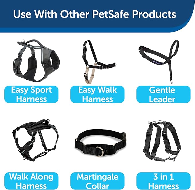 PetSafe Nylon Leash - Strong Dog Leash for Everyday Use - Secure & Simple Design for Reliable Control - Lightweight with Durable Hardware - 3/4 Inch - 6 Feet - Black