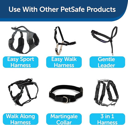 PetSafe Nylon Leash - Strong Dog Leash for Everyday Use - Secure & Simple Design for Reliable Control - Lightweight with Durable Hardware - 3/4 Inch - 6 Feet - Black