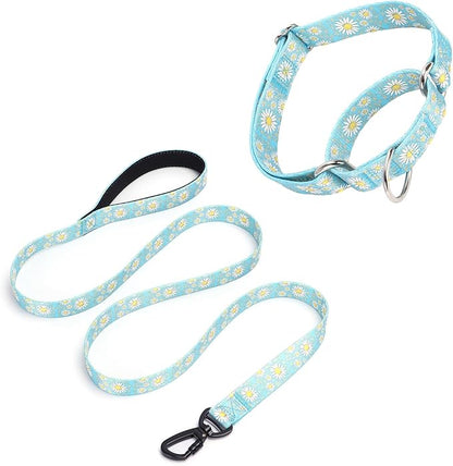 Light Blue Martingale Dog Collar and Leash Set for Female Dogs, Cute Daisy Pattern Girl Dog Collar, Adjustable Soft Durable Pet Collar with 5ft Matching Leash for Small Medium Large Dogs