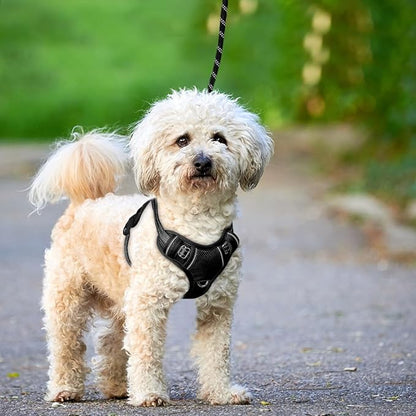 BARKBAY No Pull Dog Harness Large Reflective Dog Harness with Front Clip and Easy Control Handle for Walking Training Running with ID tag Pocket(Black,S)