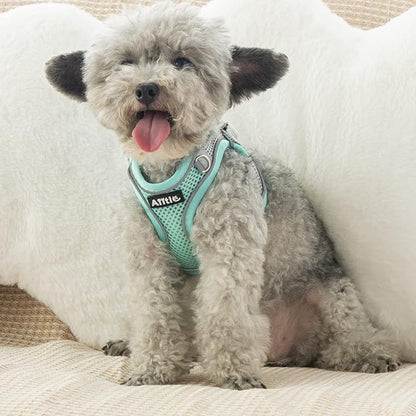 AIITLE Step in Dog Harness and Leash Set - No Pull Escape Proof Vest Harnesses with Soft Mesh and Reflective Bands, Adjustable Pet Outdoor Harnesses for Small and Medium Dogs Turquoise M