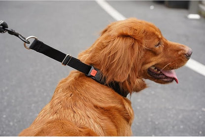 Mayerzon Dog Collar, Patented Martingale No Pull Collar for Small Medium Large Dogs with Buckle for Walking Training, Hidden Design (Black, Small,2.5mm,11.5"-14.5" Neck)