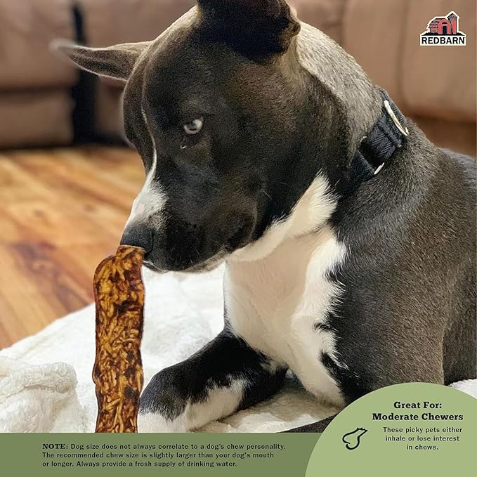 Redbarn Pet Products All-Natural Rawhide Bully Slices - Bully Stick Flavor - Premium Grain-Free Beef Hide Treats High Protein Low Fat for Chewers - 9 oz Bag
