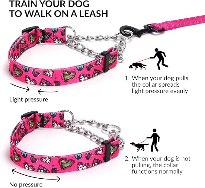 Martingale Dog Collar with Stainless Steel Chain - Limited Chain Cinch Training Collar for No Pull Training Dog - Flower Multicolor Cute Patterns - Premium No Slip Collar (HA12NO12, M)