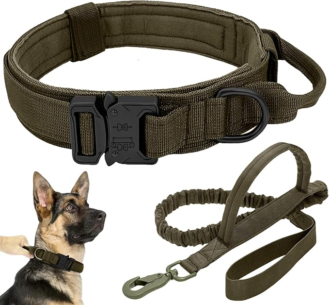 Tactical Dog Collar Leash Set, Adjustable Military Training Nylon Collar Dog Training with Control Handleand Metal Buckle, Dog Collar for Medium Large Dogs (Green,L)