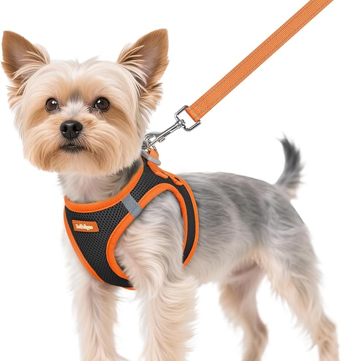 rabbitgoo Dog Harness Small Sized and Leash Set, Step-in Breathable Pet Harness, Soft Walking Reflective Puppy Vest for Small Dogs, Black & Orange, XS