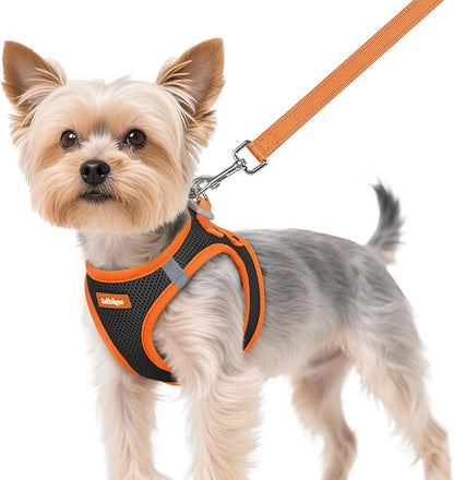 rabbitgoo Dog Harness Small Sized and Leash Set, Step-in Breathable Pet Harness, Soft Walking Reflective Puppy Vest for Small Dogs, Black & Orange, XS