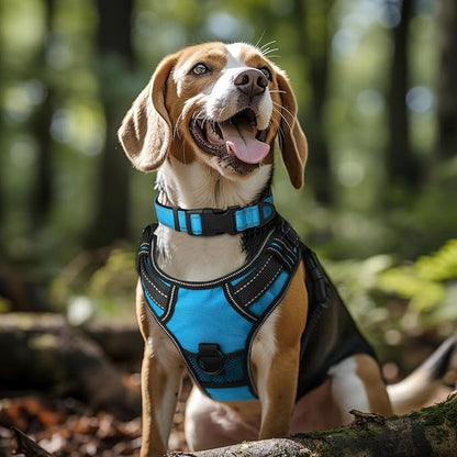 Joytale Reflective Dog Collar, Soft Neoprene Padded, Metal D-Ring, Nylon Pet Collar Adjustable for Extra Large Dogs, SkyBlue, XL