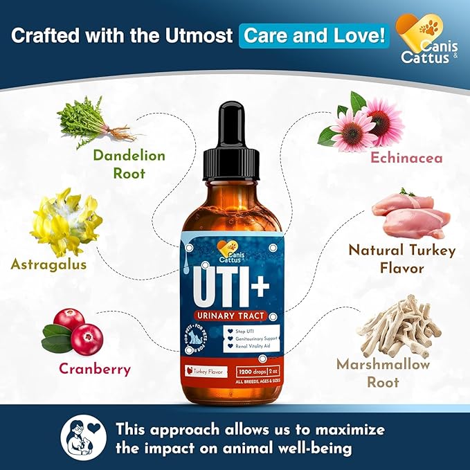 Canis&Cattus Urinary Tract Health Treatment for Dogs – Natural Herbal UTI Support Drops with Cranberry Extract - Promotes Bladder & Kidney Support - Turkey Flavor – 2 oz