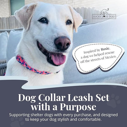 Lucky Love Dog Martingale Dog Collar & Leash - Adjustable, No-Slip, Durable, Comfortable, Soft Webbing, & Stylish Patterned Collar & Leash Set for Male and Female Dogs - Rosie Combo, Small