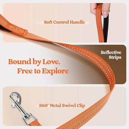 rabbitgoo Dog Harness Small Sized and Leash Set, Step in Soft Light Puppy Vest, Breathable Mesh Pet Harness, Reflective for Safe Easy Walking, Orange XXS