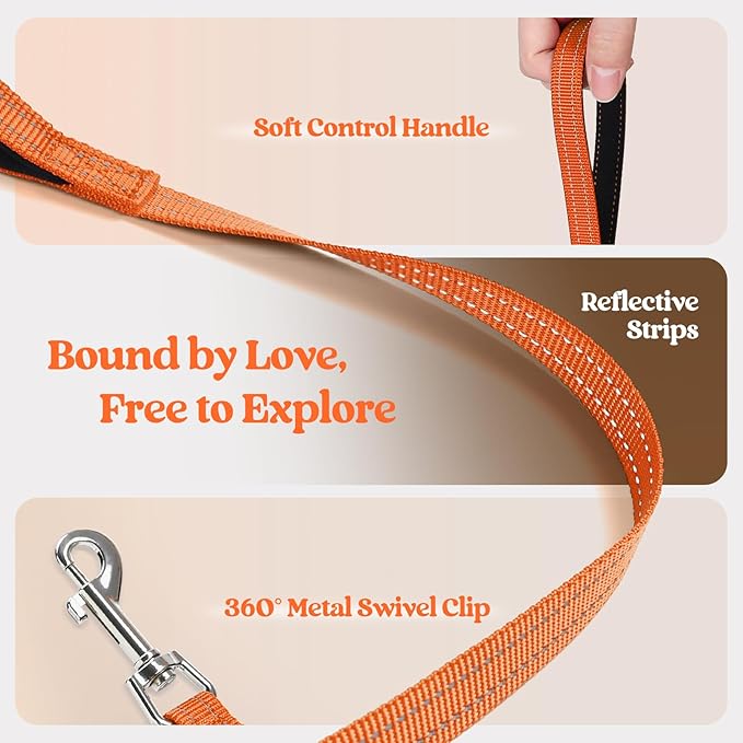 rabbitgoo Dog Harness Small Sized and Leash Set, Step in Soft Light Puppy Vest, Breathable Mesh Pet Harness, Reflective for Safe Easy Walking, Orange XS