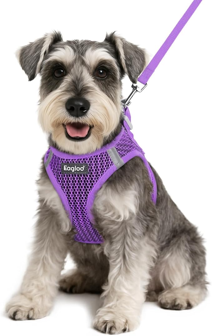 Eagloo Small Dog Harness and Leash Set, Step in Puppy Vest with Breathable Soft Mesh, Walking Reflective Pet Harness for Small Dogs, Pink, S