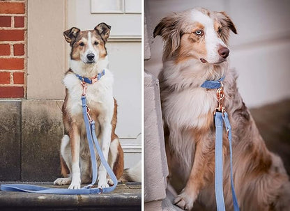 Soft Leather Dog Collar and Leash (6.6') Set - Stylish Rose Gold Heavy Duty Metal Buckle, 4 Adjustable Lengths Leash for Small Medium Large Dogs - Comfortable & Easy to Clean BluePurple L(15.4"-24.8")
