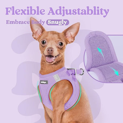 rabbitgoo Small Dog Harness, Step-in Soft Mesh Puppy Vest with Safety Buckle, Breathable Reflective Pet Harness for Small Medium Dogs, Light Purple L