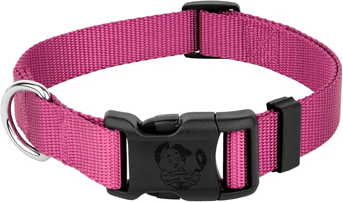 Country Brook Petz - Everyday Nylon Dog Collar for Large, Medium, and Small Dogs and Puppies - for Everyday Use in 10+ Warm Colors (Small, 3/4 Inch Wide, Rose)