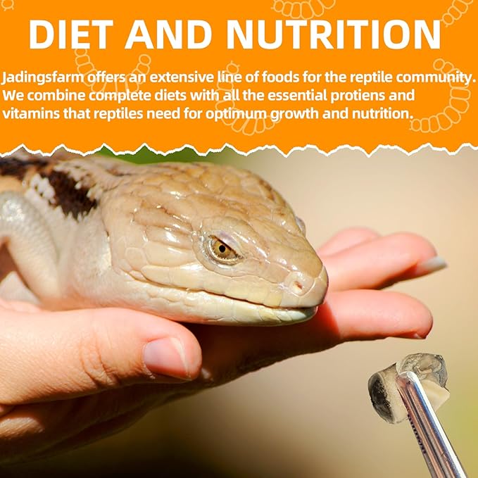 6 Pack Canned Snails for Reptiles, Fish, Birds and Small Animals, Snails, Healthy High Protein Treat, Reptile Bird Fish Food 7.2 Ounces Total