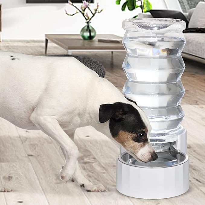 RIZZARI Gravity Dog Water Dispenser: 8L Large Auto-Refill Stainless Steel Pet Water Feeder - No-Spill BPA-Free Design for Large Dogs & Multi-Dog Homes - Everyday Indoor & Outdoor Spaces