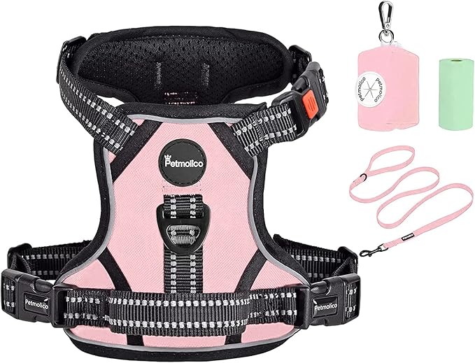 Petmolico No Pull Dog Harness Set with Leash Attachment Easy Control Handle Reflective Harness Vest Small Breed, Puppy Vest and Leash Set with Poop Bag Holder, Small - Light Pink