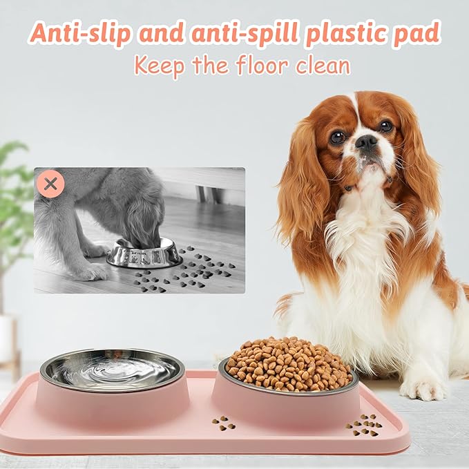 BNOSDM Double Dog Food Bowls Stainless Steel Dog Food and Water Bowls with Non-Spill Plastic Mat Pet Cat Feeder Bowl Set for Puppy Cats Kitten Small Medium Dogs Pink