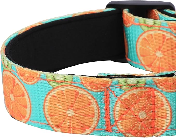 Reflective Dog Collar, Adjustable Soft Neoprene Padded Nylon Pet Collars with Buckle for Puppy and Small Dogs, Cats, Summer Lemon,M