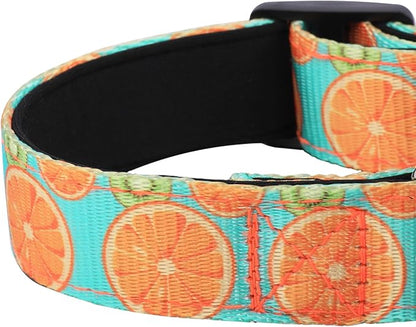 Reflective Dog Collar, Adjustable Soft Neoprene Padded Nylon Pet Collars with Buckle for Puppy and Small Dogs, Cats, Summer Lemon,M