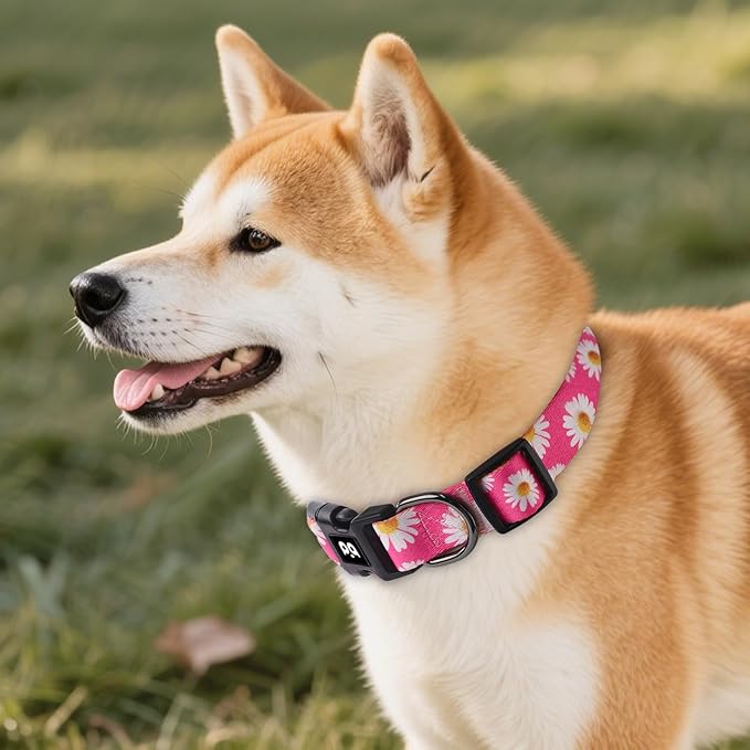 QQPETS Adjustable Soft Dog Collar: Print Flower Pink Multicolor Cute Patterns for XS Small Medium Large Pet Girl Boy Puppy Walking Running Training (M, Small Daisies)