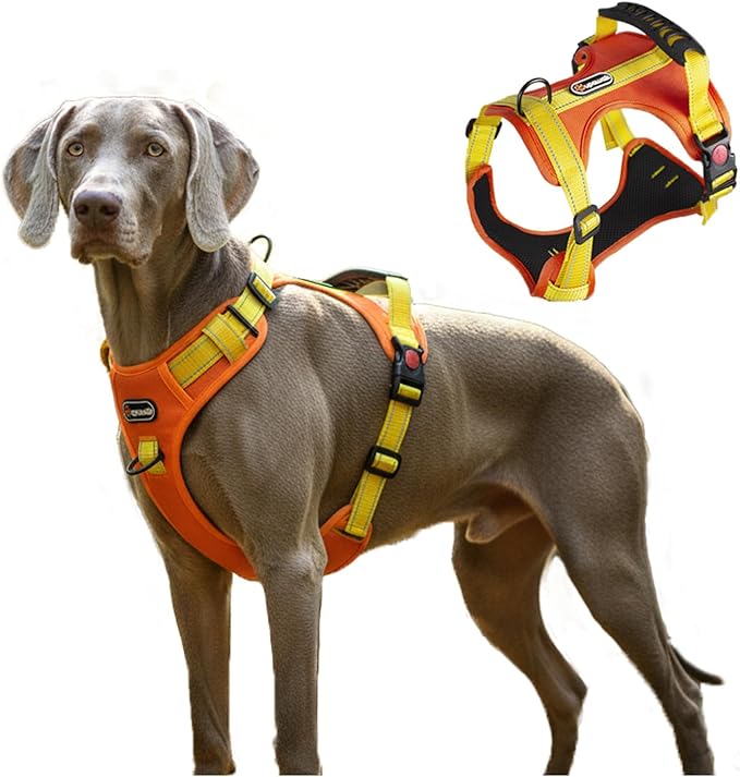 Tactical Dog Harness for Large Medium Dogs No Pull Adjustable Pet Vest with Reflective Straps Front & Back Clips Handle for Hiking Walking Hunting– 4 Sizes with or Without Leash (Orange, L)