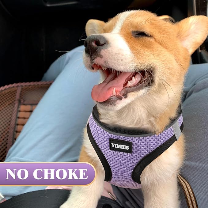 YIMEIS Dog Harness and Leash Set, No Pull Soft Mesh Pet Harness, Reflective Adjustable Puppy Vest for Small Medium Large Dogs, Cats (Taro Purple, Medium (Pack of 1)