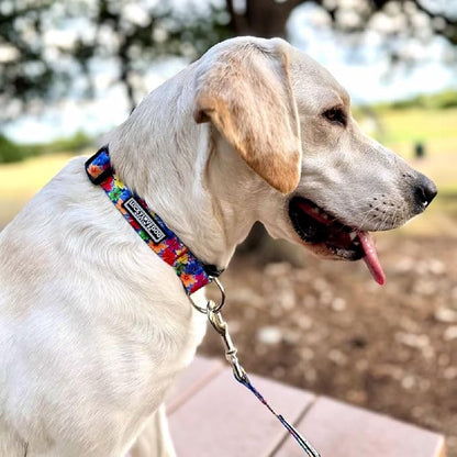 Lucky Love Dog - Adjustable Dog Collar with Easy Click Buckle for Large Ones, Durable, & Comfortable for Male & Female Dogs, Pet Collar for Puppies & Adult Dogs - Hana, Large