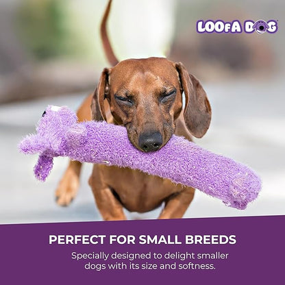 Multipet Original Loofa Reindeer Dog Plush Toy - Squeaky Toys for All Dogs - Extra Soft Plush - Stuffed Animal for Cuddling & Playing - Cute Dog Pet Toy (12”)