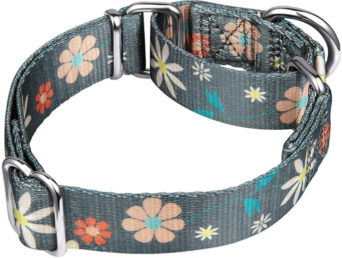 Puppy Dog Collar Floral Print Martingale Collar - No Pull Pet Collar, Heavy Duty Adjustable Dog Collar, Extra Small, Neck 8 Inch -11 Inch, Elegant Flowers (Warm Grey)