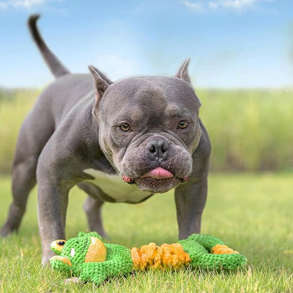 Sedioso Dog Tug Toy, Durable Dog Toys Large Breed, Tug of War Dog Squeaky Toy, Stuffed Plush Dog Toys with Crinkle Paper for Small, Middle, and Big Dogs(Tug of War Series, Frog)