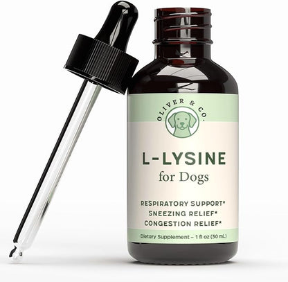 Lysine for Dogs - Dog Sneezing Relief - Dog Allergy Relief - May Help with Respiratory Health, Sneezing, Runny Nose & Much More - L-Lysine for Dogs - 1 fl oz - Bacon Flavor