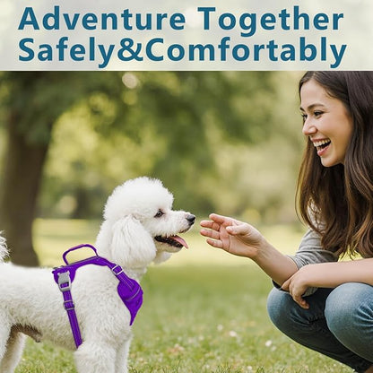 BARKBAY Dog Harness No Pull Oxford with ID Tag Pocket - Heavy Duty, Reflective, Easy Control for Large Dogs(Purple Oxford,XS)