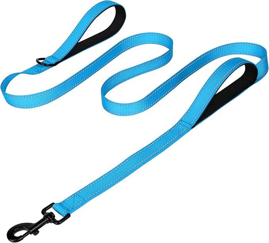Joytale Dog Leash Heavy Duty for Large Dogs that Pull, Double Handle for Traffic Control, Double-Sided Reflective Leashes for Large Medium Dogs Night Safety, 4FT, Aqua Blue