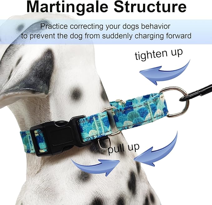 Reflective Martingale Collar with Buckle Adjustable Nylon Training Pet Collars for Medium Dogs (Turquoise Shell, M)